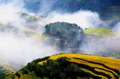 色彩缤纷的故乡