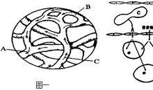 青春血液当为国流动