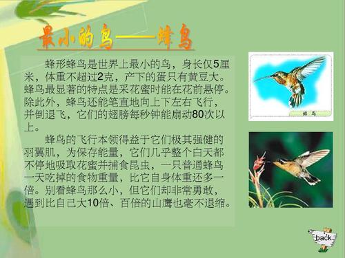 有趣的口语交流课
