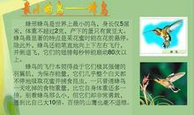 一次有趣的口语交际课