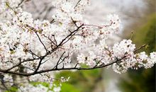 记忆深处的那一瞥