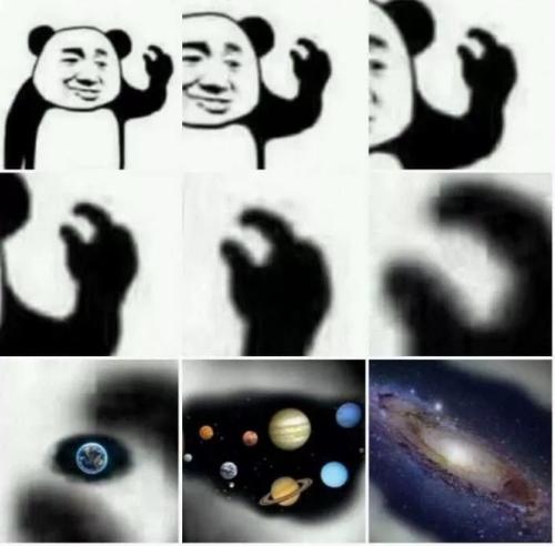 我为什么不如她