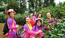 又见那一抹绿色