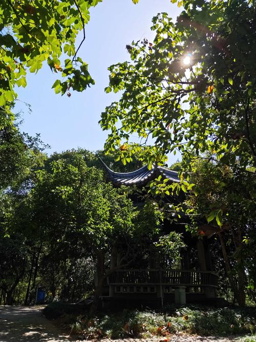 塔山