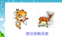 一只梅花鹿读后感