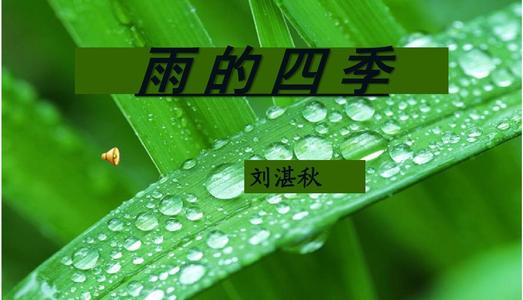 雨的四个季节