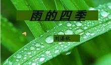 属于雨的四季