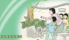 语文我想对你说