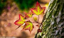 一个动作温暖一颗心