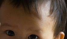 一片西瓜一片情