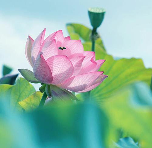 感谢逆境