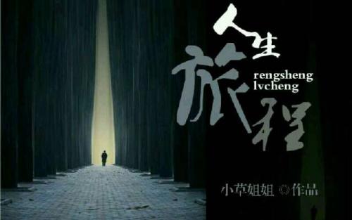 我美丽的阅读之旅