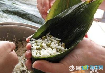 包宗子的作文