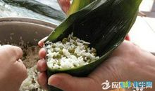 关于包粽子的作文