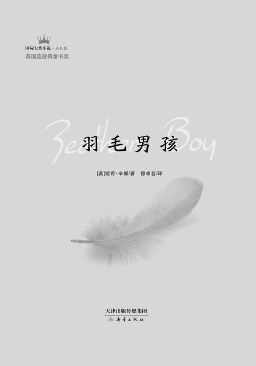 阅读后的羽毛男孩