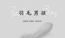 羽毛男孩读后感