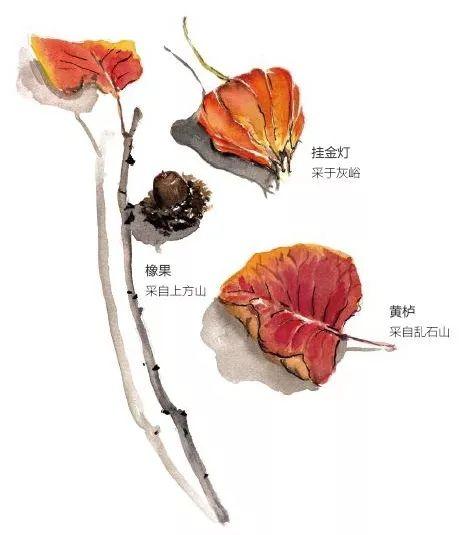 黄叶舞动，“美女”如诗如画