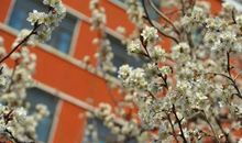 我们终将各自远扬