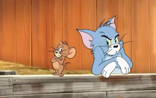 后猫鼠