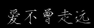 爱情永无止境
