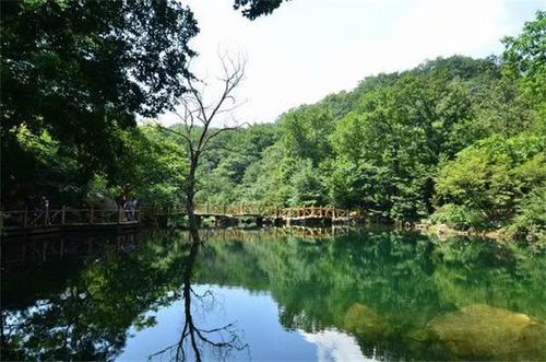 走在山上享受春天的景色