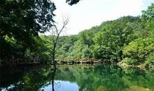 山间漫步赏春色