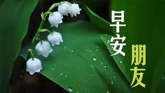 最美的句子