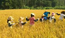 大自然也是课堂