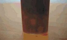 细细品出金山寺的味