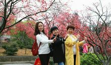 走进人间的四月天