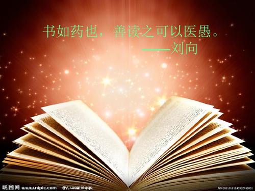 阅读可以治愈愚蠢
