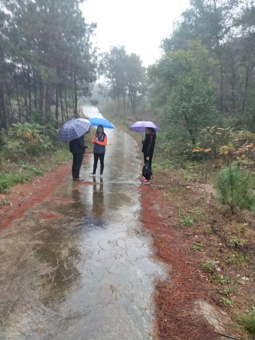 走在雨中