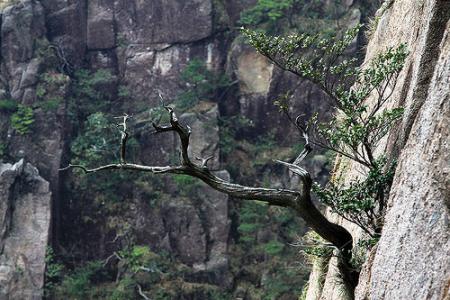 在缝隙中发现