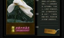 琴声让我如此美丽