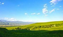 《天堂有奇迹》观后感