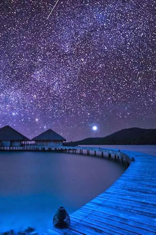 我爱夏夜