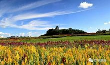 罗平的明天会更好