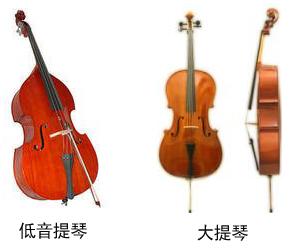 看完低音提琴之后