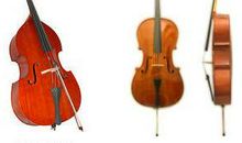 低音提琴读后感