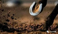 他们给我幸运人生