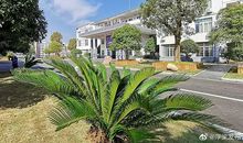 春风过处，万象更新