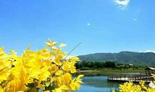 因为遇见大自然