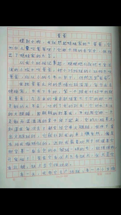 我的字迹