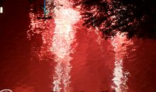 找准位置，绽放精彩