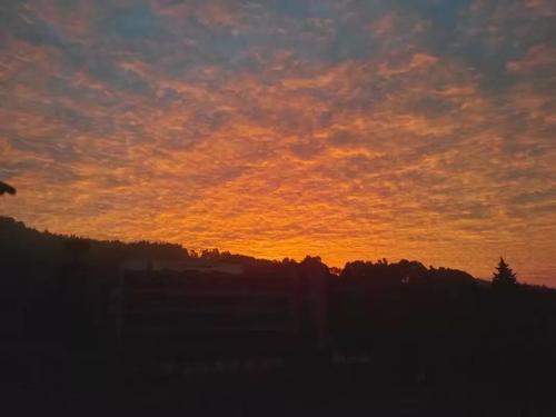 普通发现