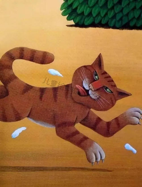 我发现了鸡肉的秘密