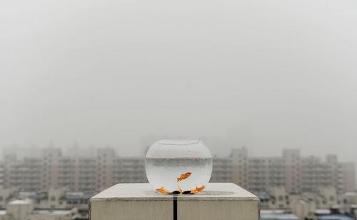 烟雾的叙事