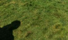 愉快的重庆之旅