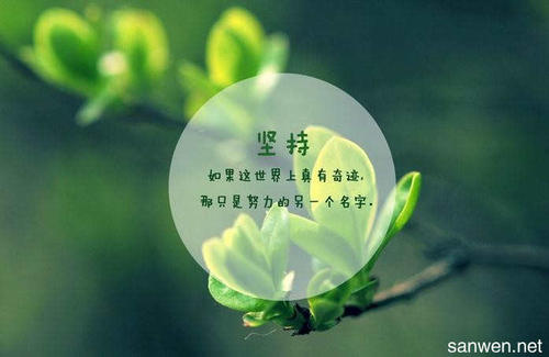 坚持下去，会成功吗？