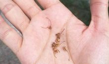 难忘你含笑的眼神